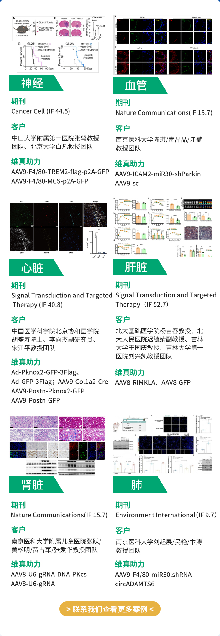 维真生物AAV应用场景