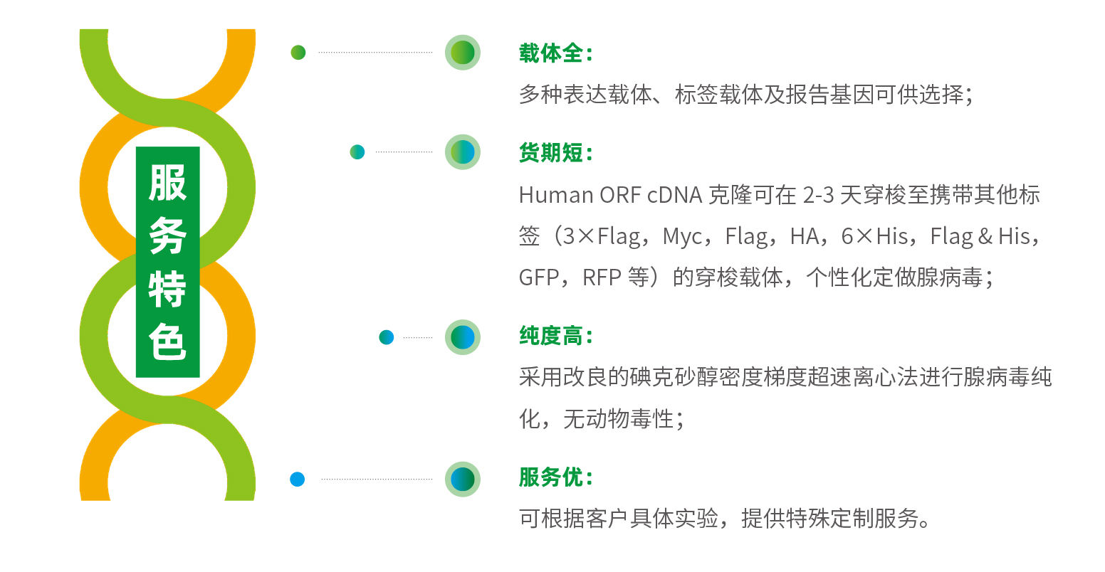 维真生物AAV优点
