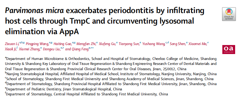 山东大学口腔医学院冯强、刘东旭研究团队在EBioMedicine (IF10.8)发表文章的图片