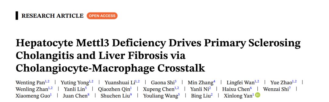 维真生物助力北京工业大学团队开展AAV8-TBG-Mettl3尾静脉注射小鼠肝脏实验，研究Mettl3调控原发性硬化性胆管炎与肝纤维化机制发表的文章图