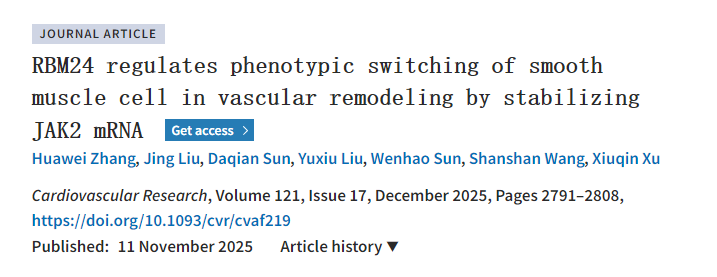 维真生物助力厦门大学团队慢病毒感染血管平滑肌细胞研究RBM24调控血管重塑机制文章图