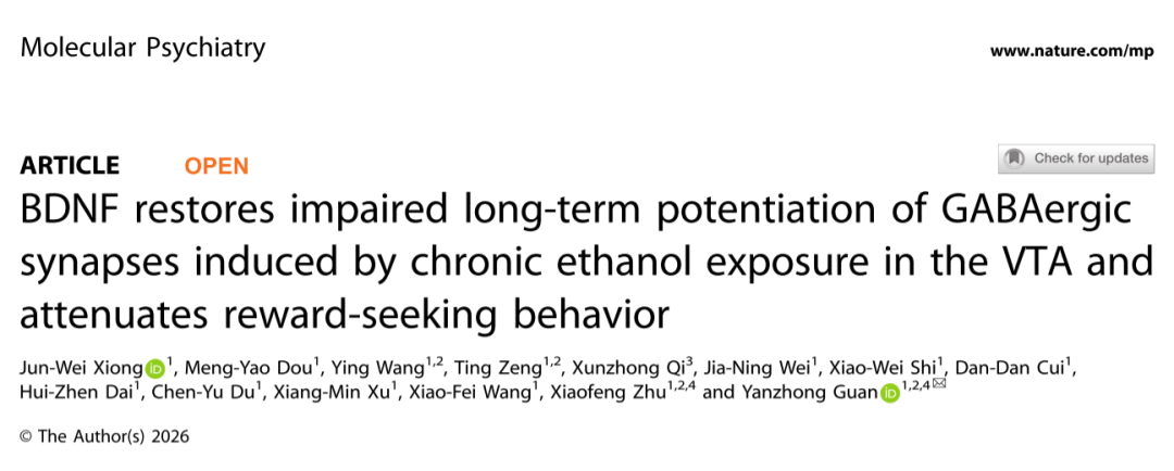维真生物AAV9病毒包装，助力牡丹江医科大学团队研究BDNF-TrkB信号通路调控酒精成瘾新机制