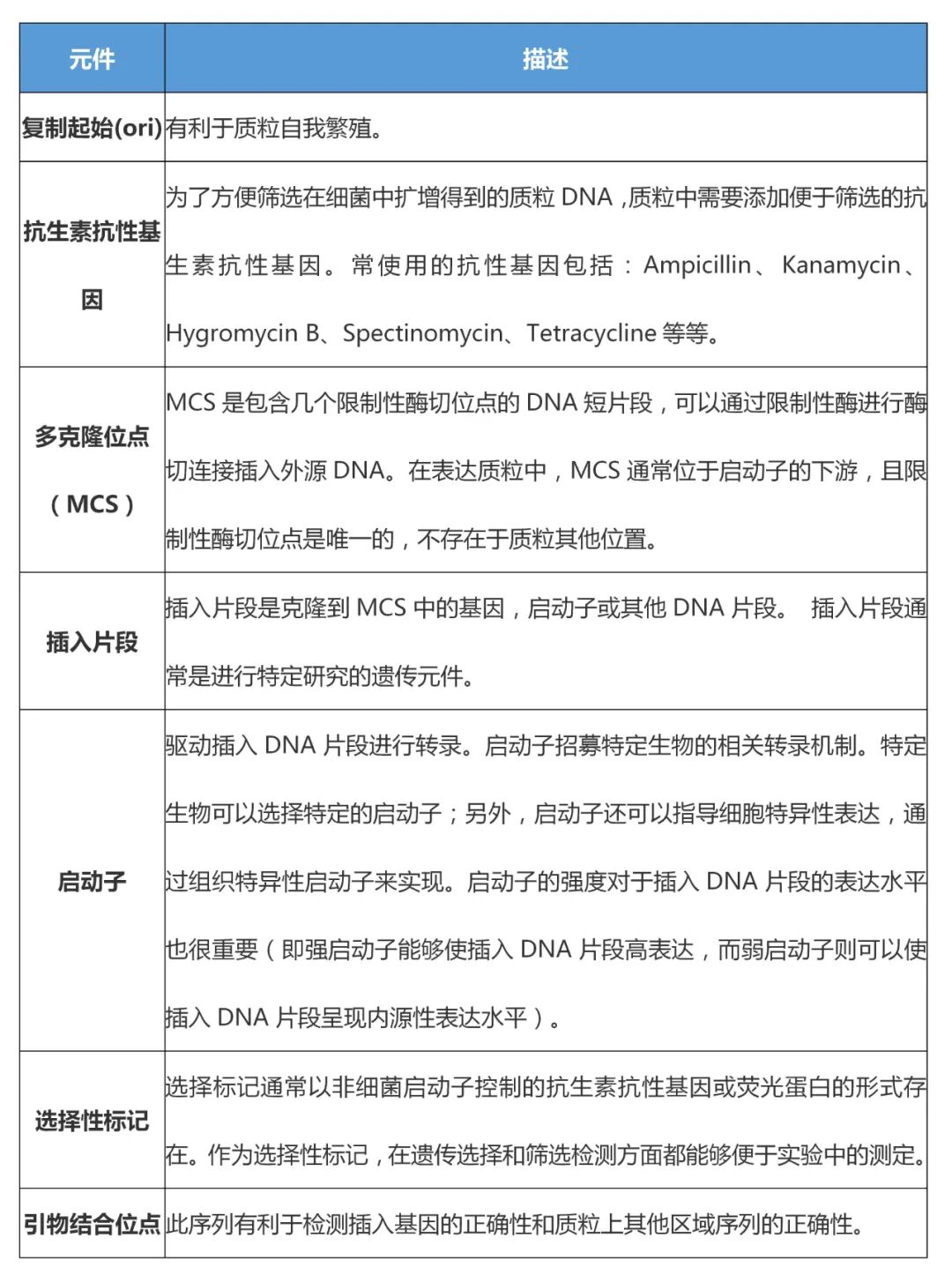 表达质粒常见元件