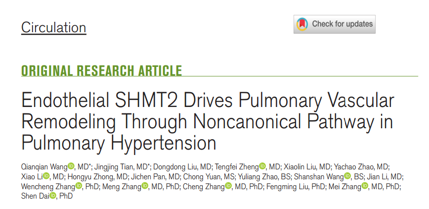 【AAV_腺病毒_质粒_在肺部应用的案例】SHMT2-RhoB调控肺动脉高压整体机制文章图